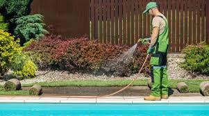 Entrega de certificados de los cursos de mantenimiento de piscinas y jardines
