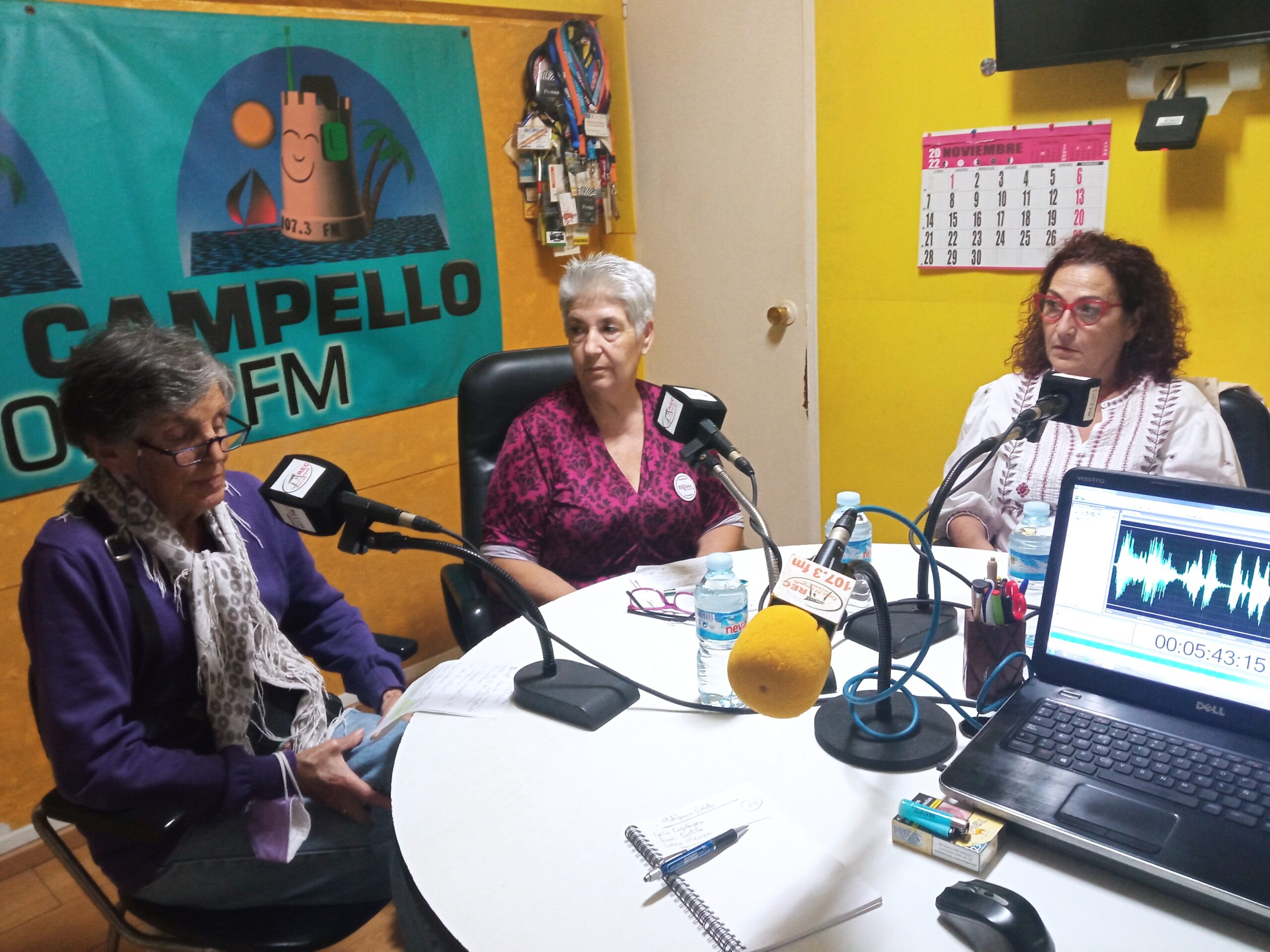 Entrevista a la Plataforma Violeta El Campello