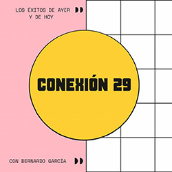 CONEXION 29