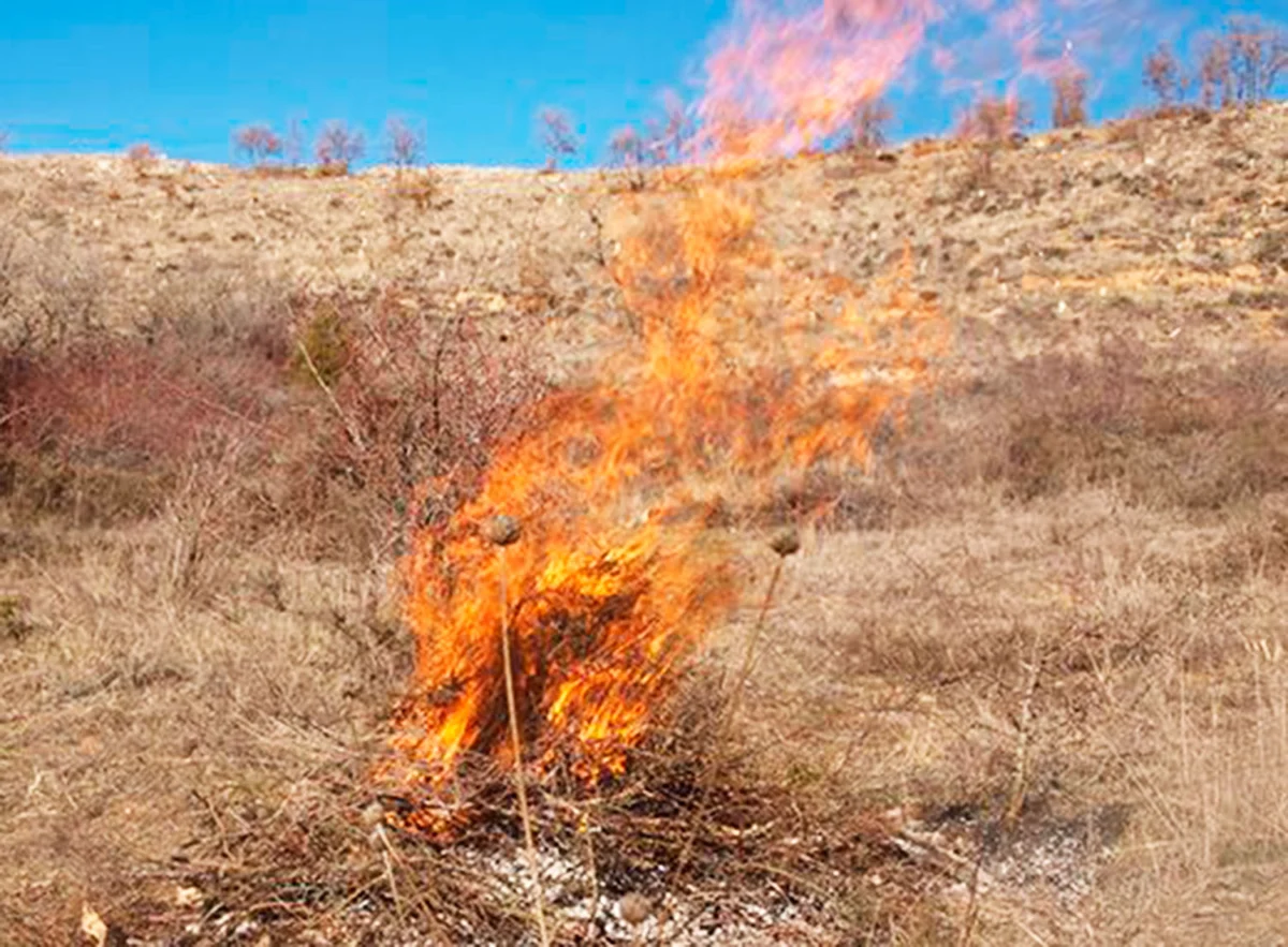 Prohibida la quema de restos agrícolas