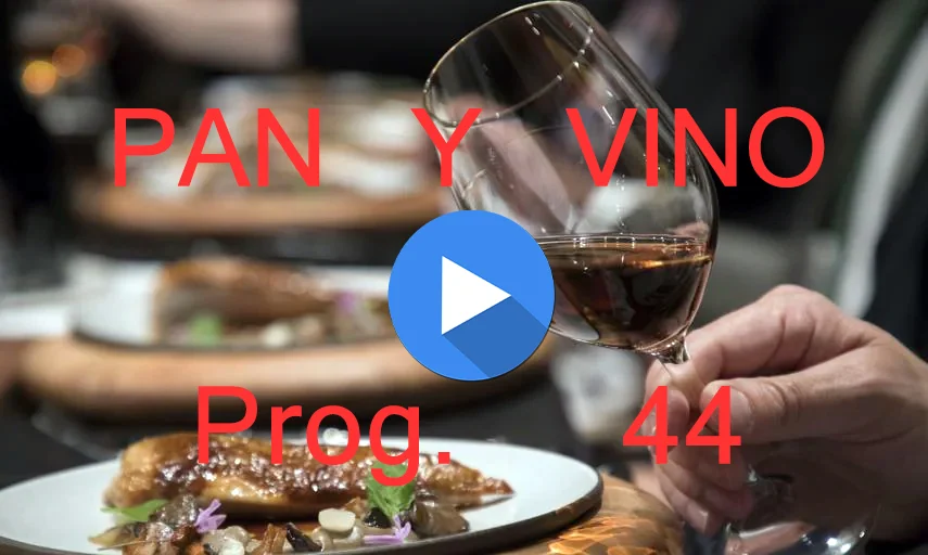 PAN Y VINO 44