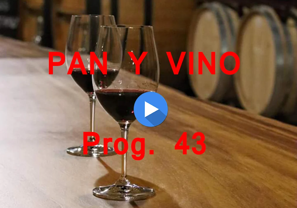 PAN Y VINO 43