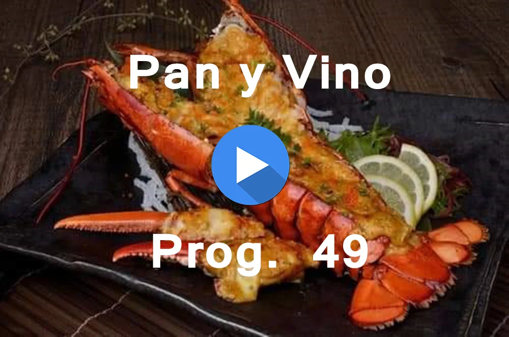 PAN Y VINO 49