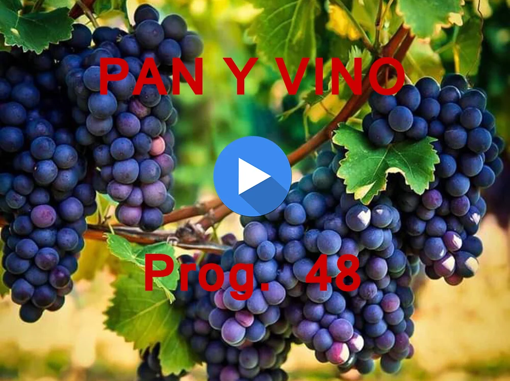 PAN Y VINO 48