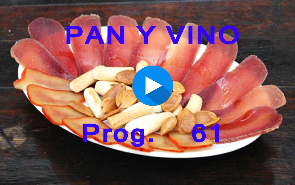 PAN Y VINO 61