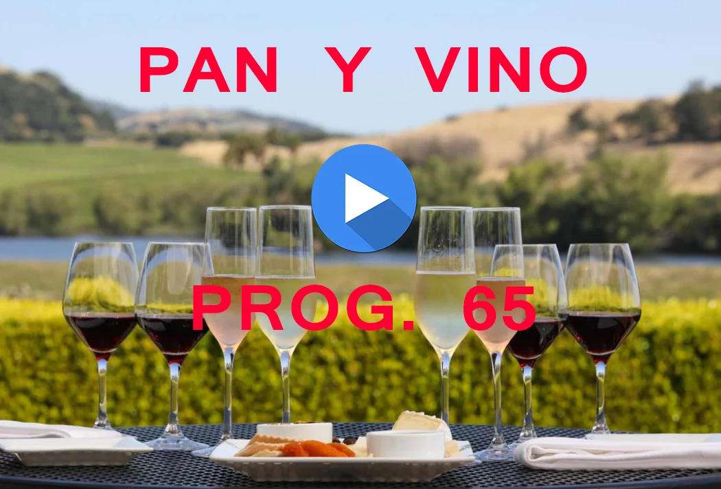 PAN Y VINO 65