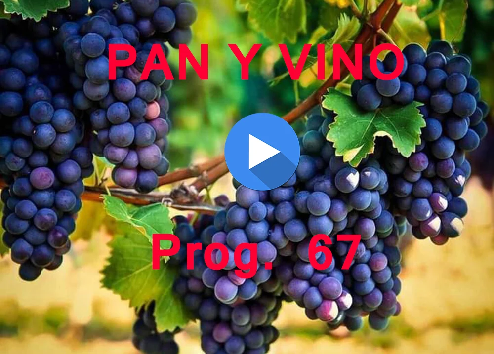 PAN Y VINO 67