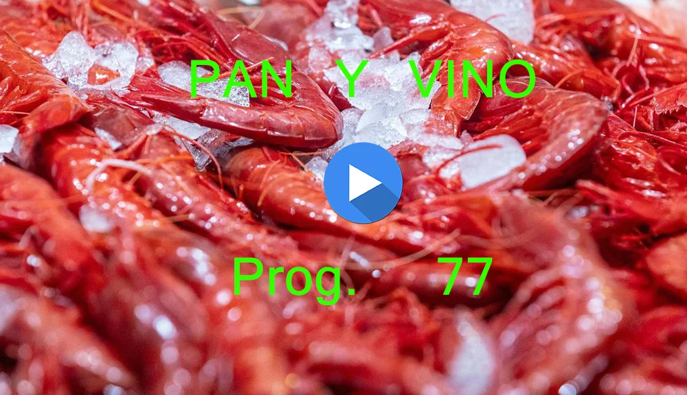 PAN Y VINO 77 PAN Y VINO 77