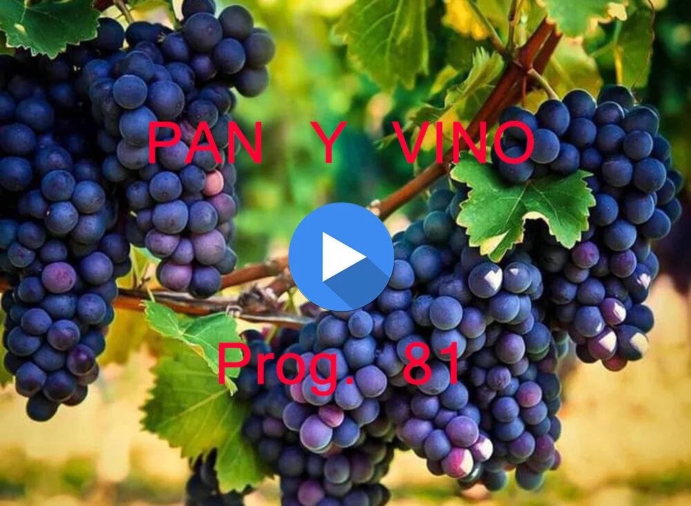 PAN Y VINO 81 PAN Y VINO 81