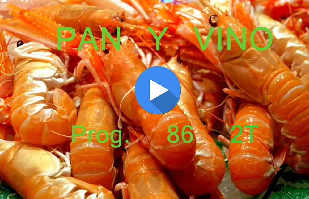 PAN Y VINO 86 2T
