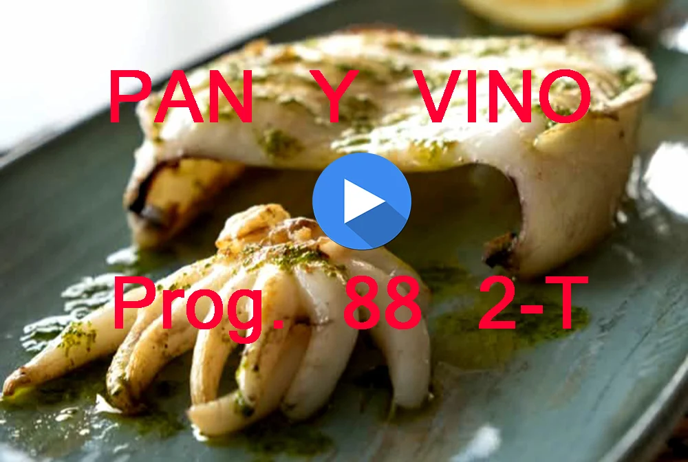 PAN Y VINO 88 2-T PAN Y VINO 88 2-T