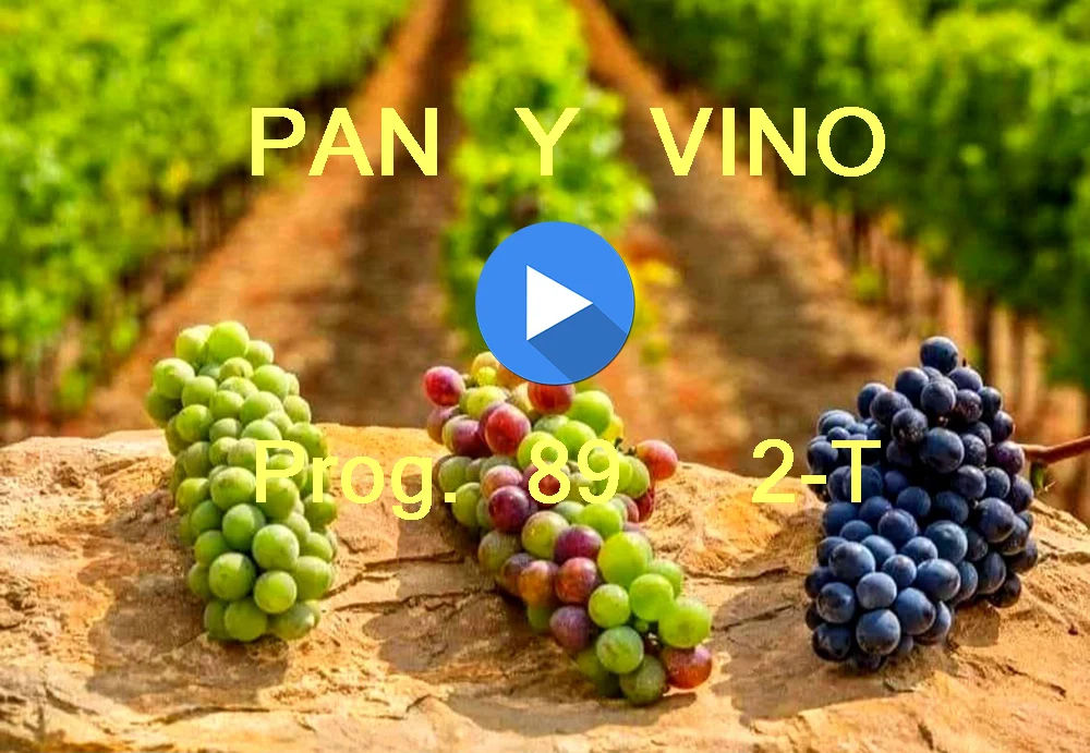 PAN Y VINO 89 2T PAN Y VINO 89 2T
