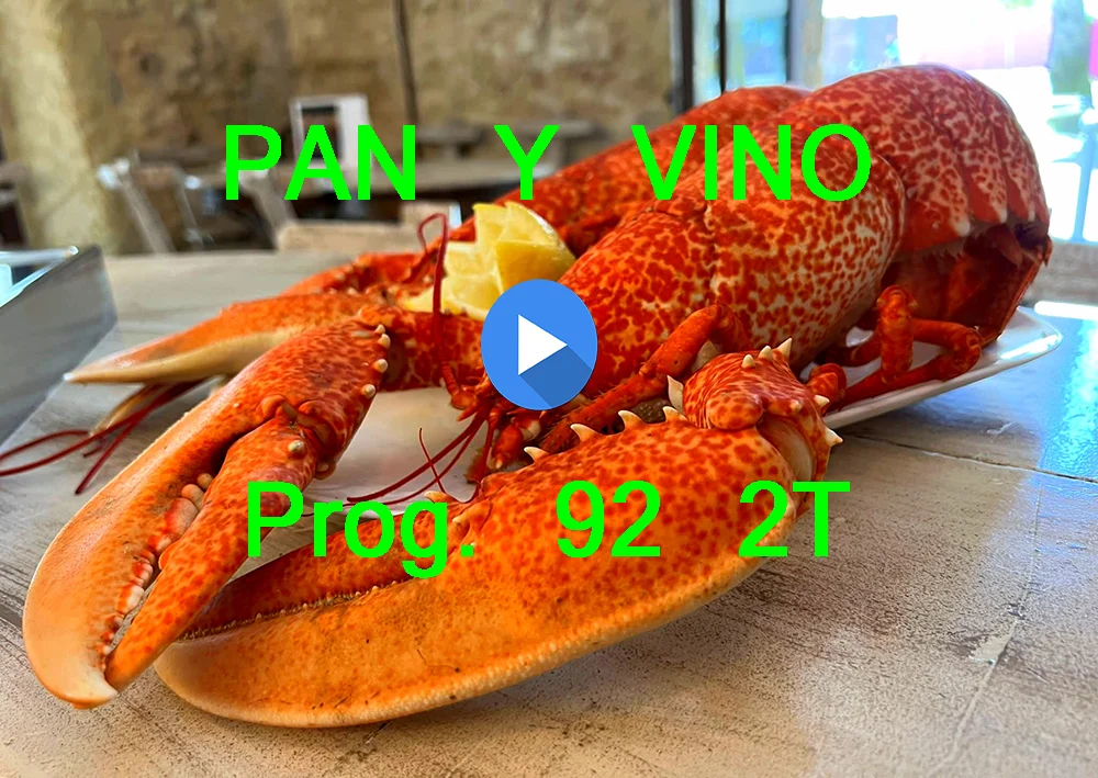 PAN Y VINO 92 2T