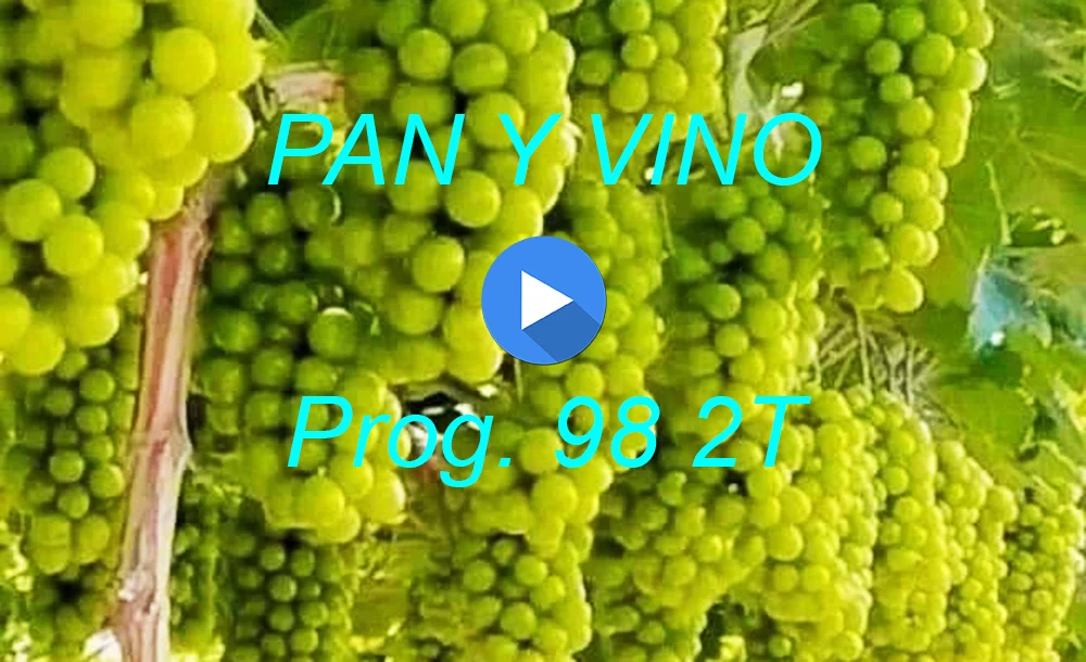 PAN Y VINO 98