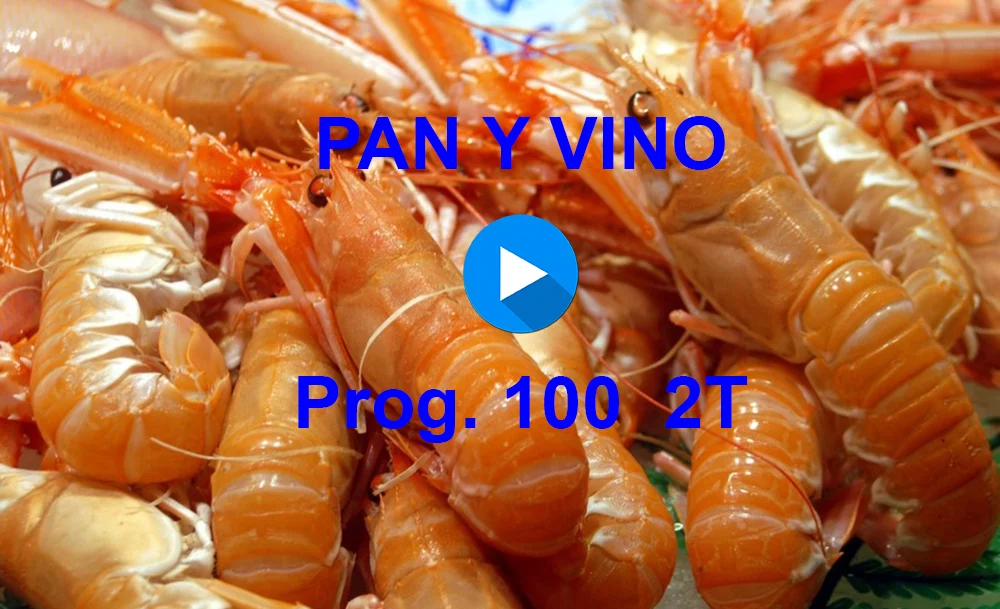 PAN Y VINO 100