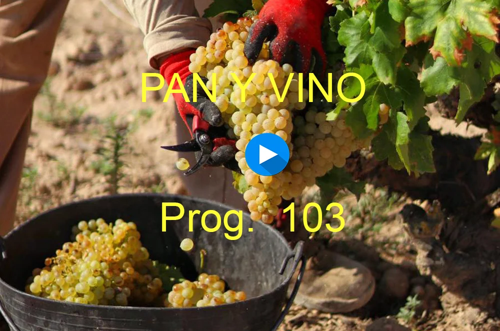 PAN Y VINO 103