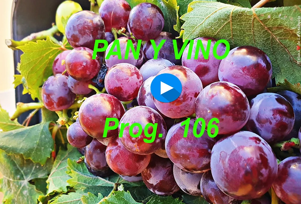 PAN Y VINO 106