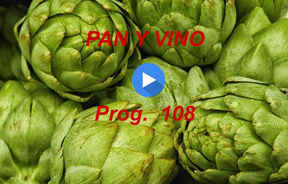PAN Y VINO 108