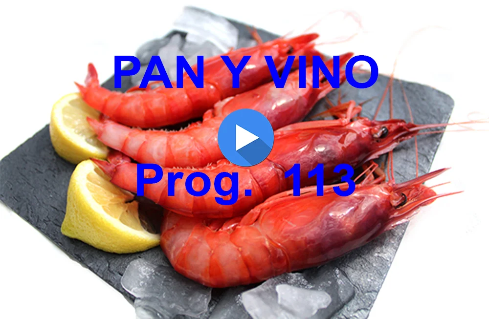 PAN Y VINO 113