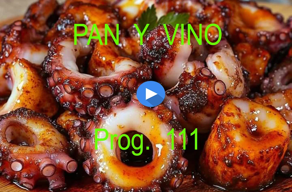 PAN Y VINO 111 PAN Y VINO 111