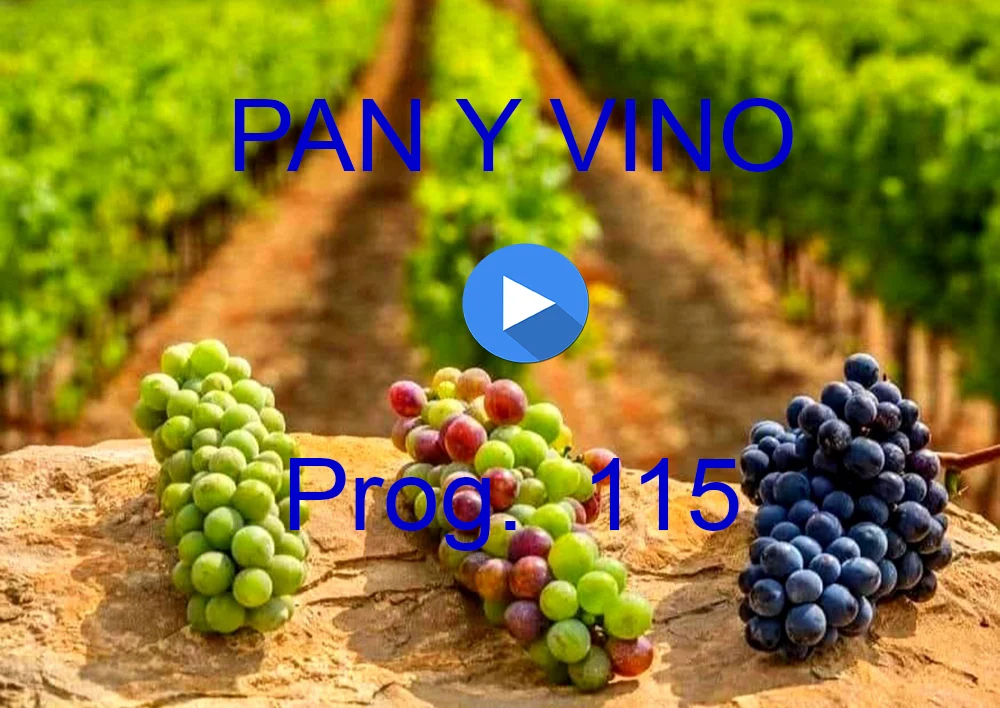 PAN Y VINO 115