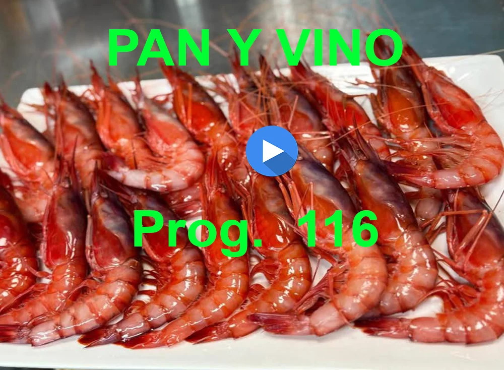 PAN Y VINO 116 PAN Y VINO 116